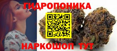 гашик Кунгур