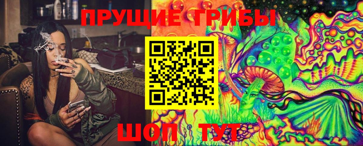 Псилоцибиновые грибы MAGIC MUSHROOMS  Вход с VPN  Вязники  Псилоцибиновые грибы мицелий 