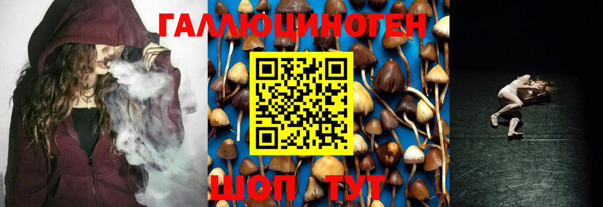 Галлюциногенные грибы Psilocybine cubensis Вязники